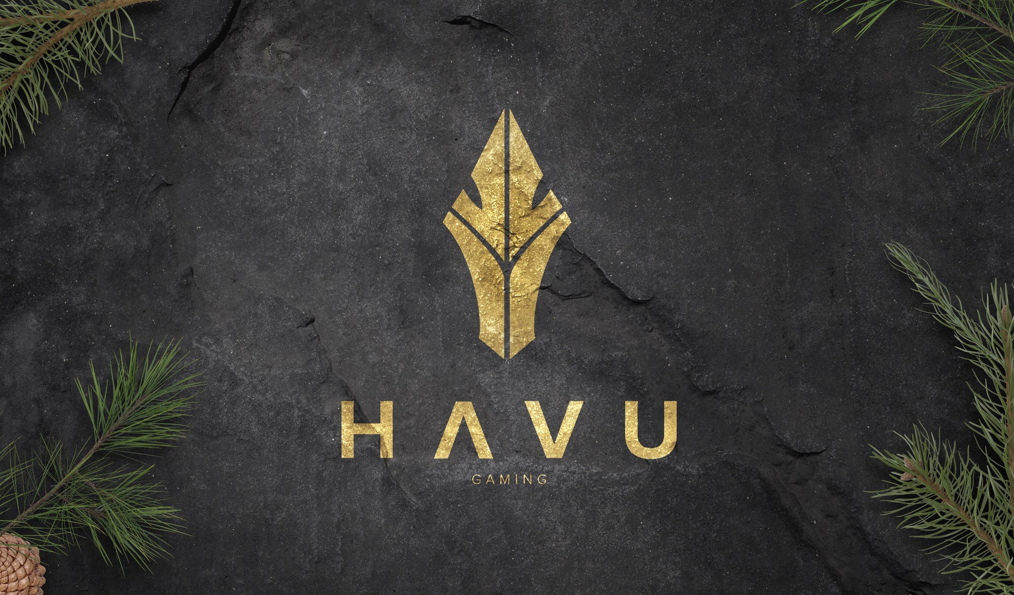 HAVU Gaming vuosikertomus 2019